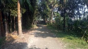 বাবুগঞ্জ উপজেলা প্রকল্প বাস্তবায়ন কর্মকর্তার বিরুদ্ধে দুর্নীতির অভিযোগ