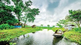 পাল্টে গেছে বরিশালের ধান-নদী খালের চিত্র