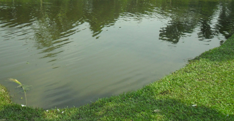 আমতলীতে পুকুরে ডুবে প্রাণ গেল ৪ বছরের শিশুর