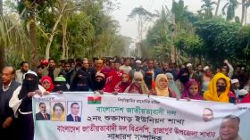 রাজাপুরের ৬ ইউনিয়নে বিএনপির বিক্ষোভ-মিছিল