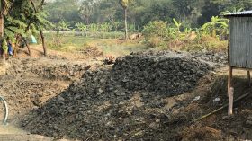মুলাদীতে খালে বাঁধ দিয়ে মাছের খামার, ফসলি জমিতে জলাবদ্ধতার শঙ্কা