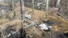 পিরোজপুরে আগুনে পুড়ল জাপা নেতার গোয়ালঘর