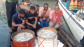 মেঘনায় জাটকা অভিযানে হামলা : আটক ৫