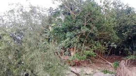 সন্ধ্যা নদী ও আড়িয়াল খাঁ নদের ভাঙনে ঘর হারাচ্ছেন বাবুগঞ্জের বাসিন্দারা