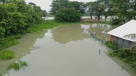 পিরোজপুরে অতিবর্ষণে পিরোজপুরের নিম্নাঞ্চল প্লাবিত