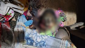 উজিরপুরে বিধবা নারীকে ধর্ষণের পর হত্যা, অর্ধগলিত লাশ উদ্ধার