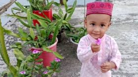 বরগুনায় ডেঙ্গুতে ৩ বছরের শিশুর মৃত্যু