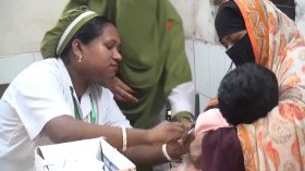 পিরোজপুরে ৫ মাসে বিড়াল-কুকুরে কামড়ে আক্রান্ত ৭ হাজার, ভ্যাকসিন সংকট