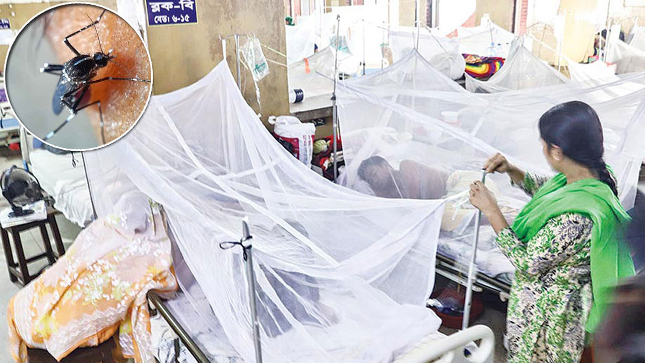 ডেঙ্গুতে শিশুসহ ৩ জনের মৃত্যু, ভর্তি ৪২৫ জন