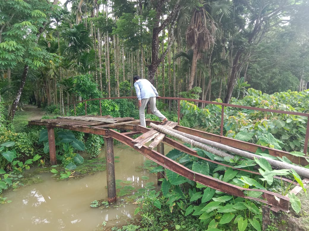 মঠবাড়িয়ায় মেম্বার বাড়ির সামনের ব্রীজের বেহাল দশা