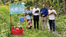 মির্জাগঞ্জে মালচিং পদ্ধতিতে তরমুজ চাষে কৃষকরা লাভবান
