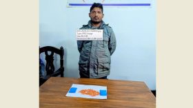 লালমোহনে ৫০০ পিচ ইয়াবাসহ যুবক আটক