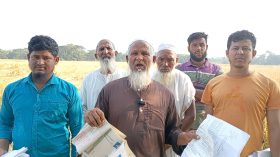 চরফ্যাশনে কৃষকের পাঁকা ধান কেটে নিলে‍া প্রভাবশালীরা