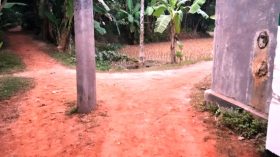 লালমোহনে রাস্তার মাঝখানে বিদ্যুতের খুঁটি, চরম ভোগান্তিতে এলাকাবাসী