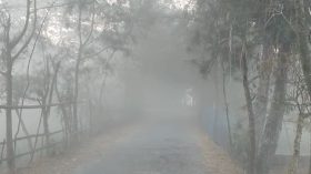 ঘন কুয়াশা ও তীব্র শীতে কাঁপছে কলাপাড়া