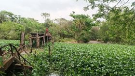 মোটরসাইকেল পারাপারের সময় তালতলীতে ব্রিজ ধস, আহত-২