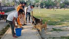 প্রিয় স্যান্ডির স্মরনে ৫০০ পথ কুকুর পেলো ভাত-মাংস