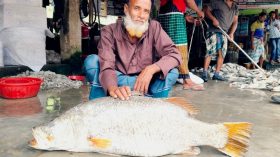 কুয়াকাটায় এক কোরাল সাড়ে ২৯ হাজার টাকায় বিক্রি