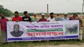 ষাঁড় গরু জবাই করে মাংস বিক্রি ও বনভোজন, প্যানেল চেয়ারম্যানের বিচার দাবি