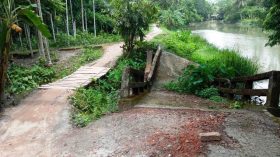 ​বানারীপাড়ায় আলতা গ্রামে ভেঙে পড়া সেতু যেন মরণফাঁদ