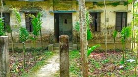 নেছারাবাদে জরাজীর্ণ কমিউনিটি ক্লিনিক ভবন, ঝুঁকিতে স্বাস্থ্যসেবা  