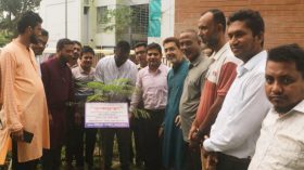 উজিরপুর প্রেসক্লাবের উদ্যোগে বৃক্ষরোপন কর্মসূচী