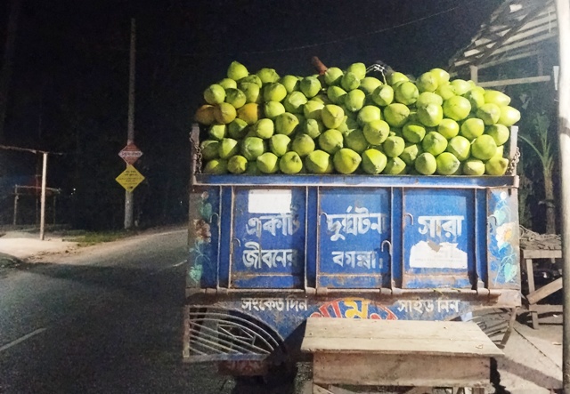 দক্ষিণাঞ্চলের অর্থনীতিতে প্রভাব ফেলছে চরফ্যাশনের ডাব