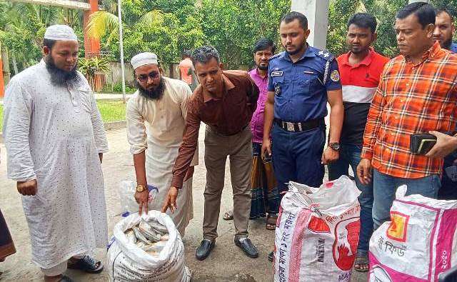 চরফ্যাশনে পুলিশের অভিযানে ২০০ কেজি মা ইলিশ জব্দ