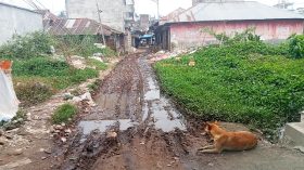 বানারীপাড়ার আলু পট্টিতে ময়লার ভাগাড়, ভোগান্তিতে ব্যবসায়ী ও পথচারী