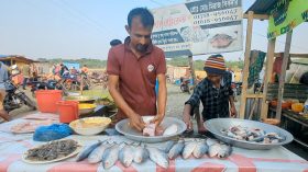 জনপ্রিয় হয়ে উঠছে কাউয়ার চরের ইলিশ-খিচুড়ি