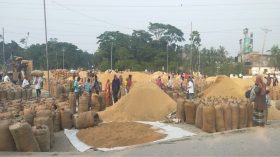 আমন ধানের বাজার চাঙা, কৃষকরা খুশি