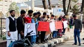আকাশে ফানুস নয়, পাখিদের উড়তে দাও