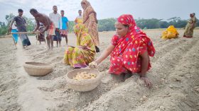 আলু বীজের সংকট, বেশি দামে বিক্রি