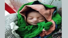 সড়কের পাশে নবজাতকের কান্না