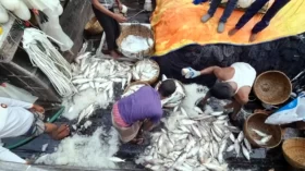সাগরে গিয়ে হতাশ বরগুনার জেলেরা