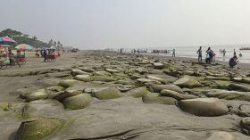 অব্যবস্থাপনায় সৌন্দর্য হারাচ্ছে কুয়াকাটা