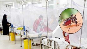 ২৪ ঘন্টায় ডেঙ্গুতে ৬ জনের মৃত্যু, হাসপাতালে ৮৮২