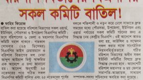 বরিশাল বিভাগের বিএনপির সকল কমিটি বাতিল!