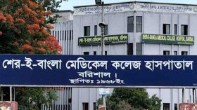 ঈদের ছুটিতে শেবাচিমে ১৮৫ জনের মৃত্যু