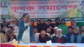 সৈরাচারী আ.লীগ সরকার দেশের কৃষি খাতকে ধ্বংস করেছে