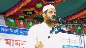 এবার ঐক্যবদ্ধ হয়ে নির্বাচনে অংশ নিতে পারে ইসলামী দলগুলো : মামুনুল হক