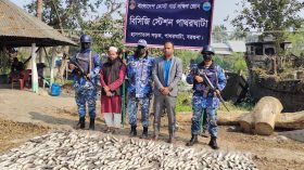 পাথরঘাটায় ২০০ কেজি জাটকা ইলিশ জব্দ