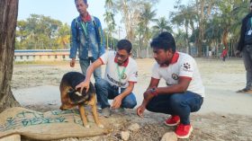 কলাপাড়ায় শীত নিবারণে পথ কুকুরদের রক্ষায় ’উষ্ণ বিছানা’