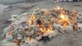 নিষিদ্ধ জাল ব্যবহারে হুমকিতে মৎস্য সম্পদ