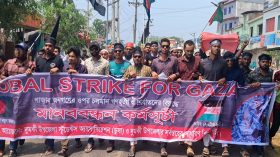 গাজায় গণহত্যার প্রতিবাদে দুমকিতে মানববন্ধন