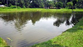 ভোলায় একদিনে পুকুরে ডুবে ৩ শিশুর মৃত্যু