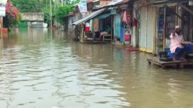 ভোলায় বাঁধ ভেঙে ২০ গ্রাম প্লাবিত, নিহত ১