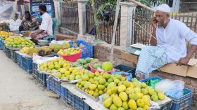 এক গাছ থেকেই বিক্রি লাখ টাকা আম বিক্রি