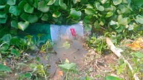 বিদ্যুৎস্পৃষ্টে বরিশাল বিশ্ববিদ্যালয়ের কর্মকর্তার মৃত্যু