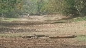 অব্যাহত ভরাটে কচ্ছপখালী খাল আজ মৃতপ্রায়